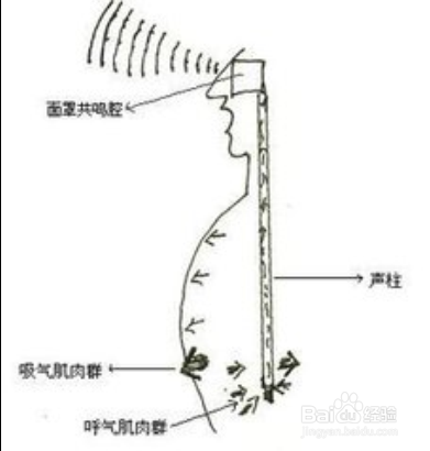 音乐的技巧和意义