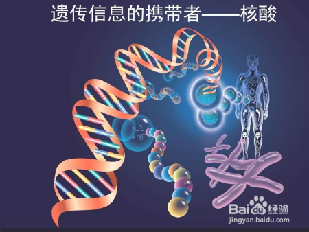 经常有人说