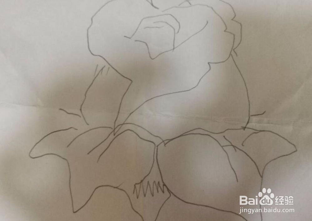 玫瑰花简笔画方法