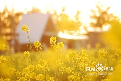 怎样祛痘痘【教你如何消除痘痘】