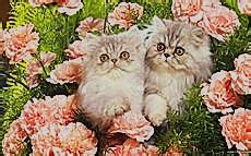 武魂宝石游戏攻略