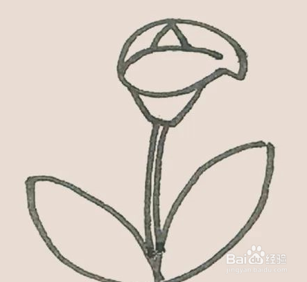 马蹄莲简笔画怎么画