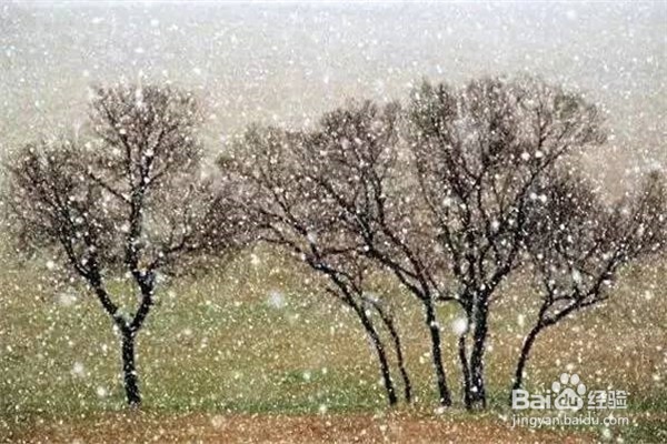 中国最佳旅行时间表攻略—你的下半年都被包了