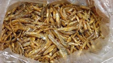 自制猫粮跟维嘉猫粮一样、味道好不好一看就知道