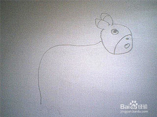 简笔画怎样画小毛驴