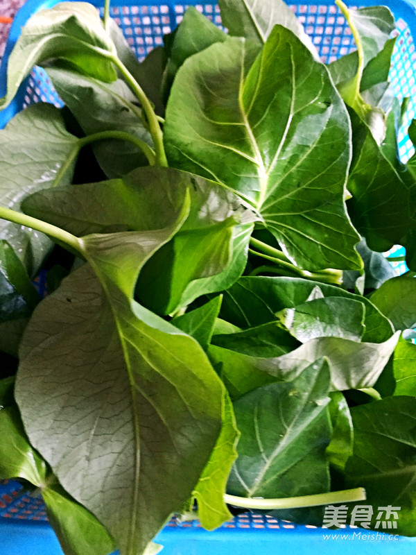 蒜蓉空心菜的做法