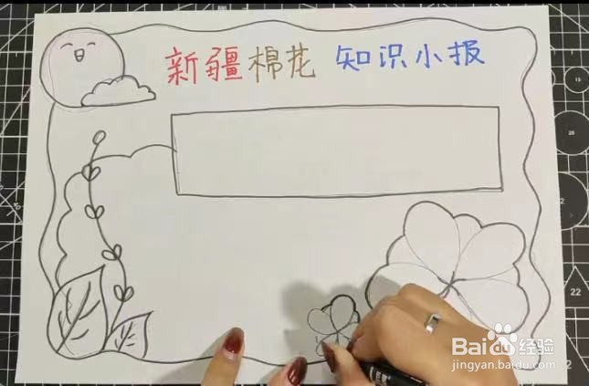 新疆棉花知识小报怎么画