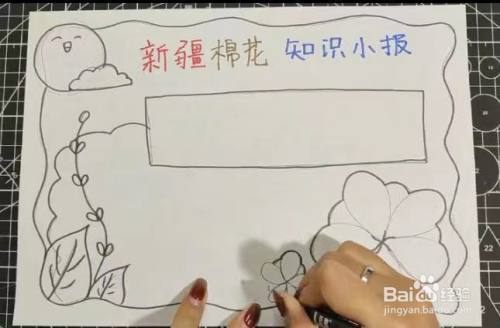 新疆棉花知识小报怎么画