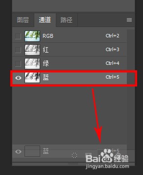 PS通道抠图杂乱的树叶