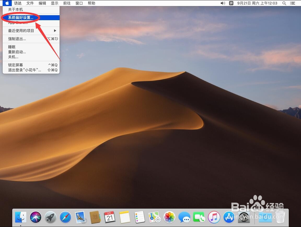 如何将苹果Mac系统的Dock栏设置在桌面左右侧