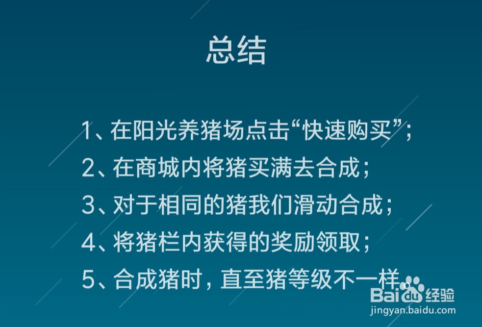 阳光养猪场猪满了怎么办