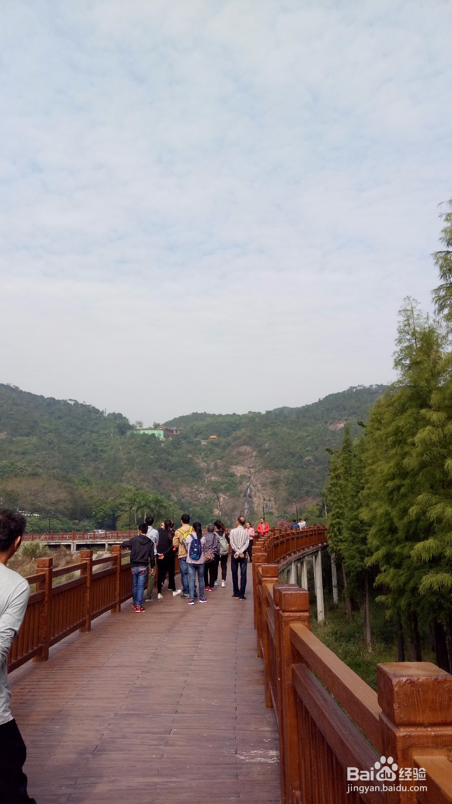 周末徒登芙蓉山