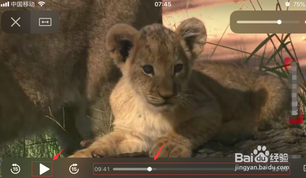 苹果手机如何在视频中截图？