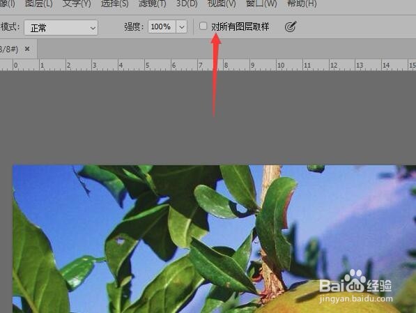 Photoshop CC使用模糊工具突出主体效果