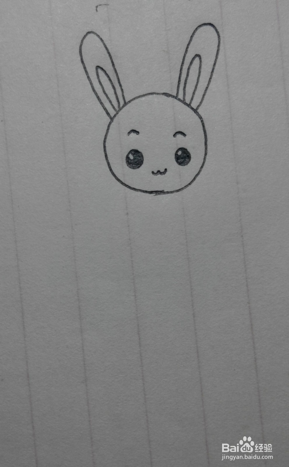可爱的小兔子（幼儿）