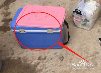 鱼苗水产品质量如何检疫采样