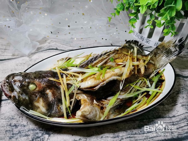 如何做出好吃的清蒸石斑鱼