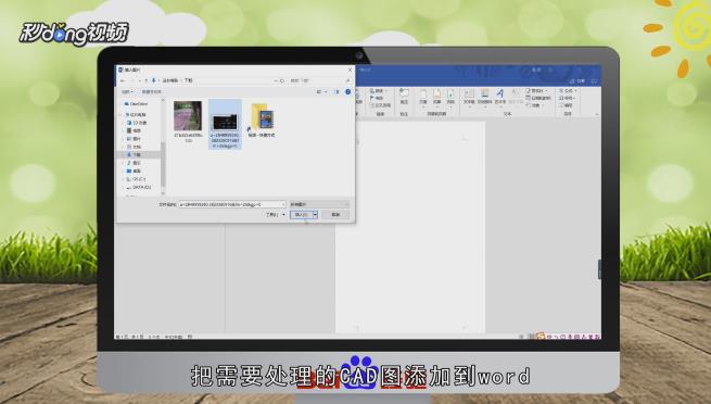 Word2007中如何裁剪CAD图