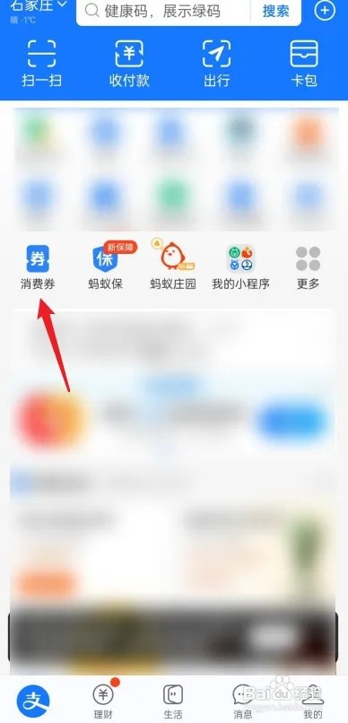 支付宝如何查看我的消费券