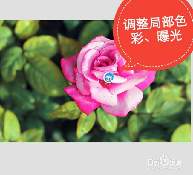 Snapseed有哪些常用技巧