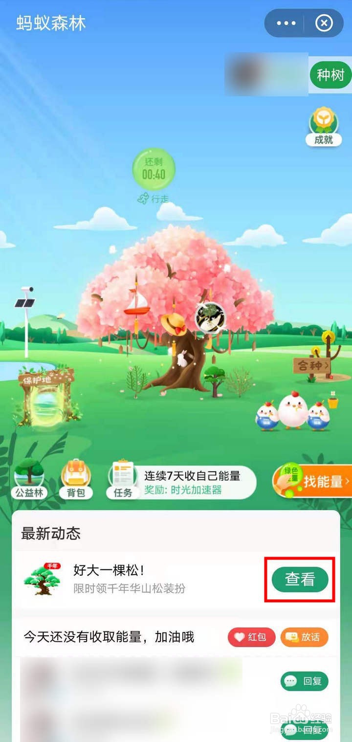 支付宝蚂蚁森林怎么获取青青华山松装扮