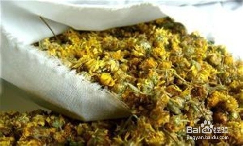 常服菊花增年寿