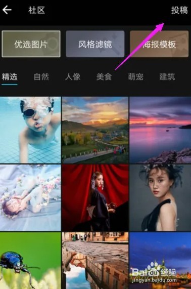 格蕾丝教主怎么投稿