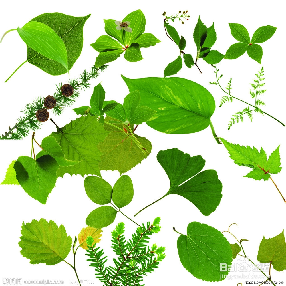 脱肛患者在饮食上应该注意什么？