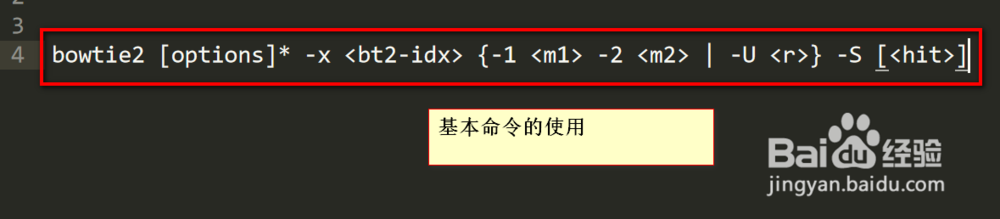 window中如何使用bowtie2