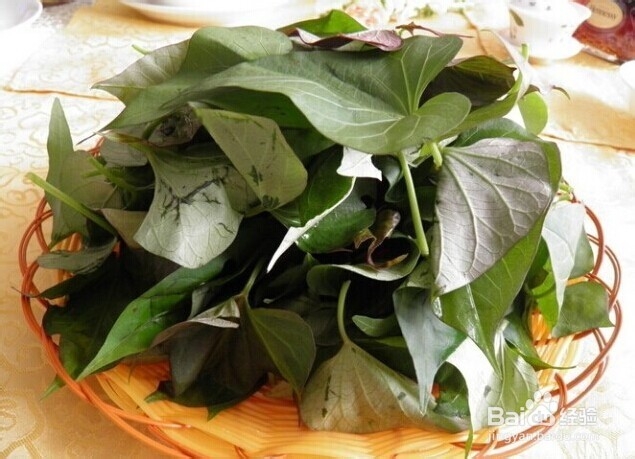 红薯叶 居然有这么强大