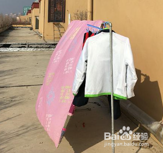 床上有鼠妇虫怎么处理