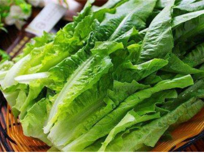 南方的青菜是什么菜