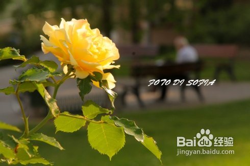 [转载]攀上梦的边缘开放