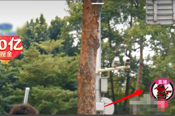 抖音登陆正常看视频却显示登录才可以进入直播间是什么意思