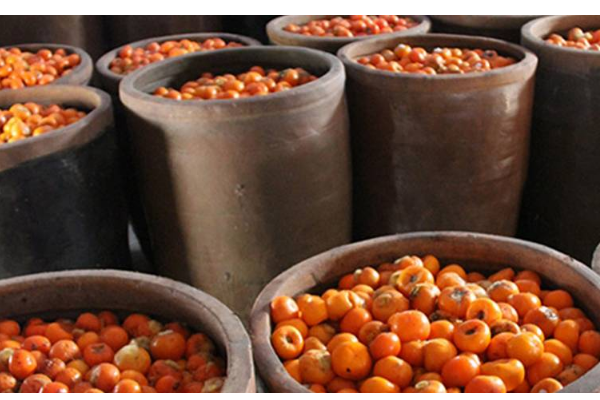 自酿柿子醋上面凝结的固体物是什么东西