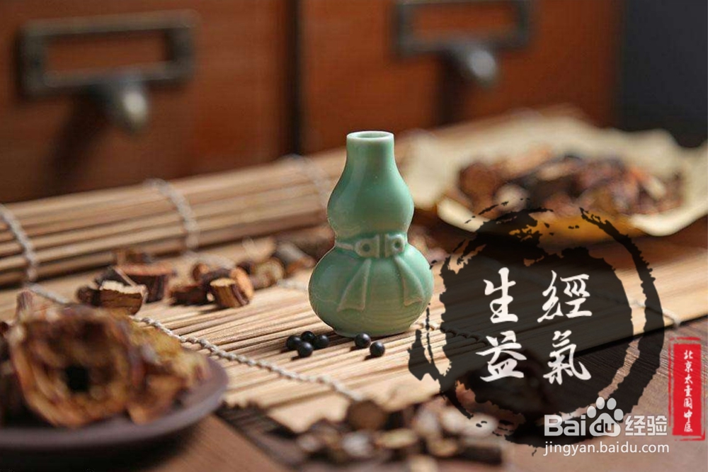 生经益气汤促进马尾损伤恢复的步骤