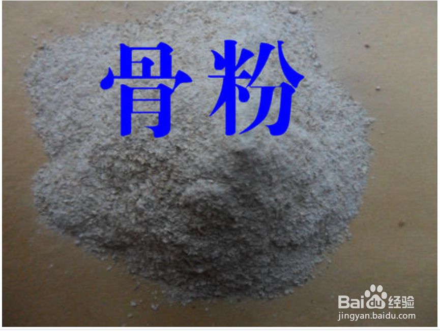 几种生活垃圾变身成花肥