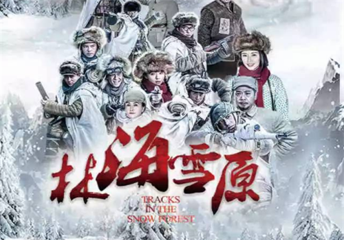 带雪字的电视剧
