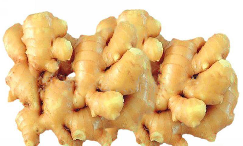 把姜放肚脐怎样去湿