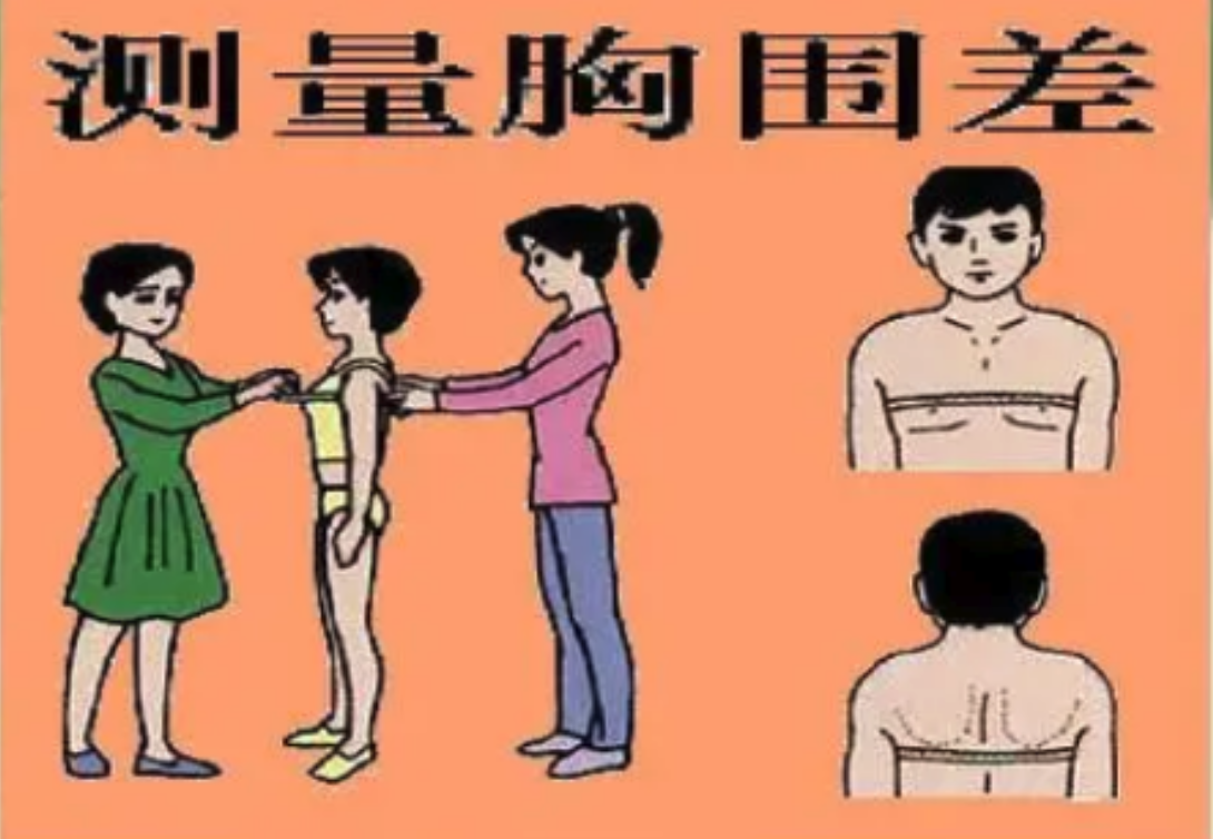 胸围38是什么尺码