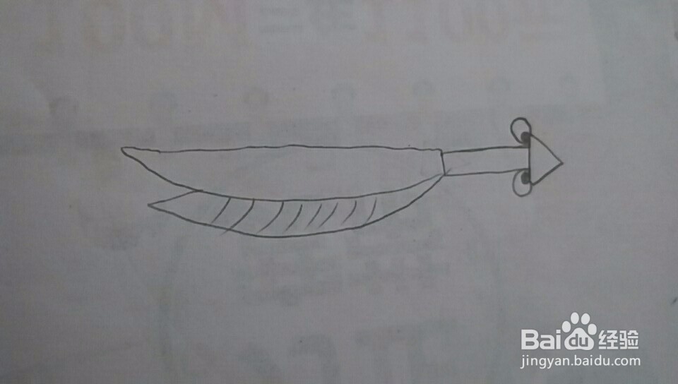 多妈简笔画一只螳螂