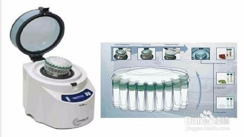 关于破壁饮片研究的方向路线