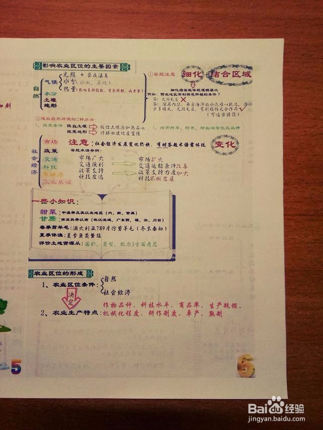 艺考过后文化课该怎样复习？