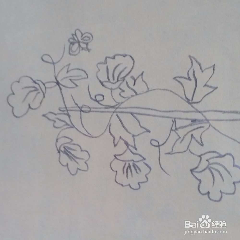 儿童简笔画牵牛花