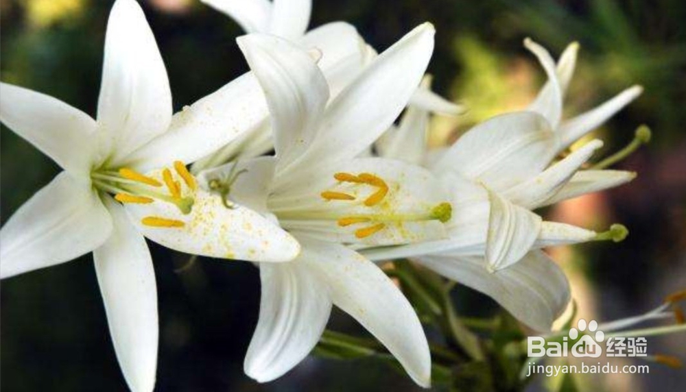 冬天来了，怎么补身体呢？