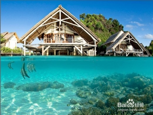 逃离喧嚣的绿色生活 纵享全球生态旅馆