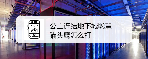 公主连结地下城聪慧猫头鹰怎么打