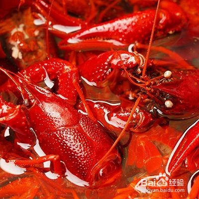 小龙虾的家常做法