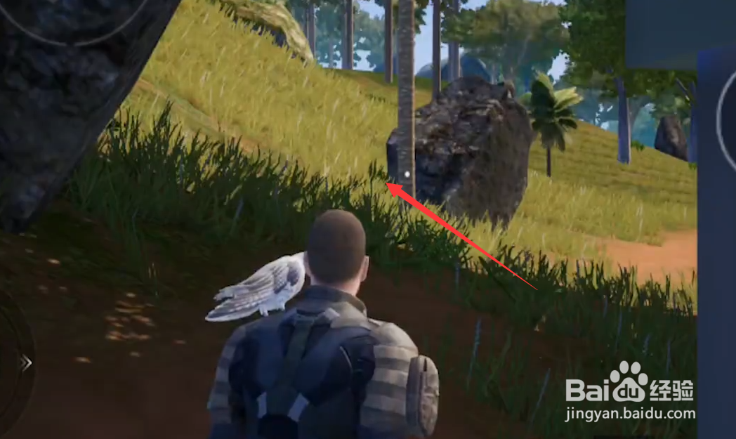 和平精英丛林部落模式怎么进