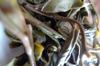 云南普洱茶茶山之行：：[8]曼糯古茶山